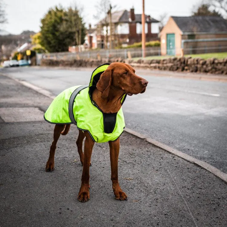 Danish Design - The Ultimate 2 in 1 Waterproof and Fleece Dog Coat - High Vis/Yellow