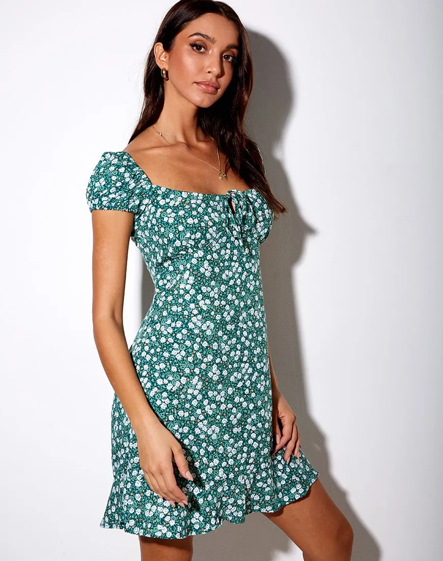 Galaca Mini Dress in Floral Field Green