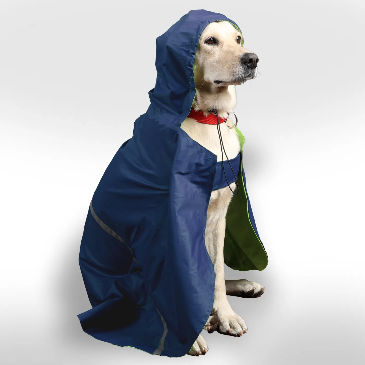 Skatrs Full Coverage Cape Style Raincoat for Dogs and Cats (Blue)